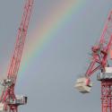 cranes and rainbow